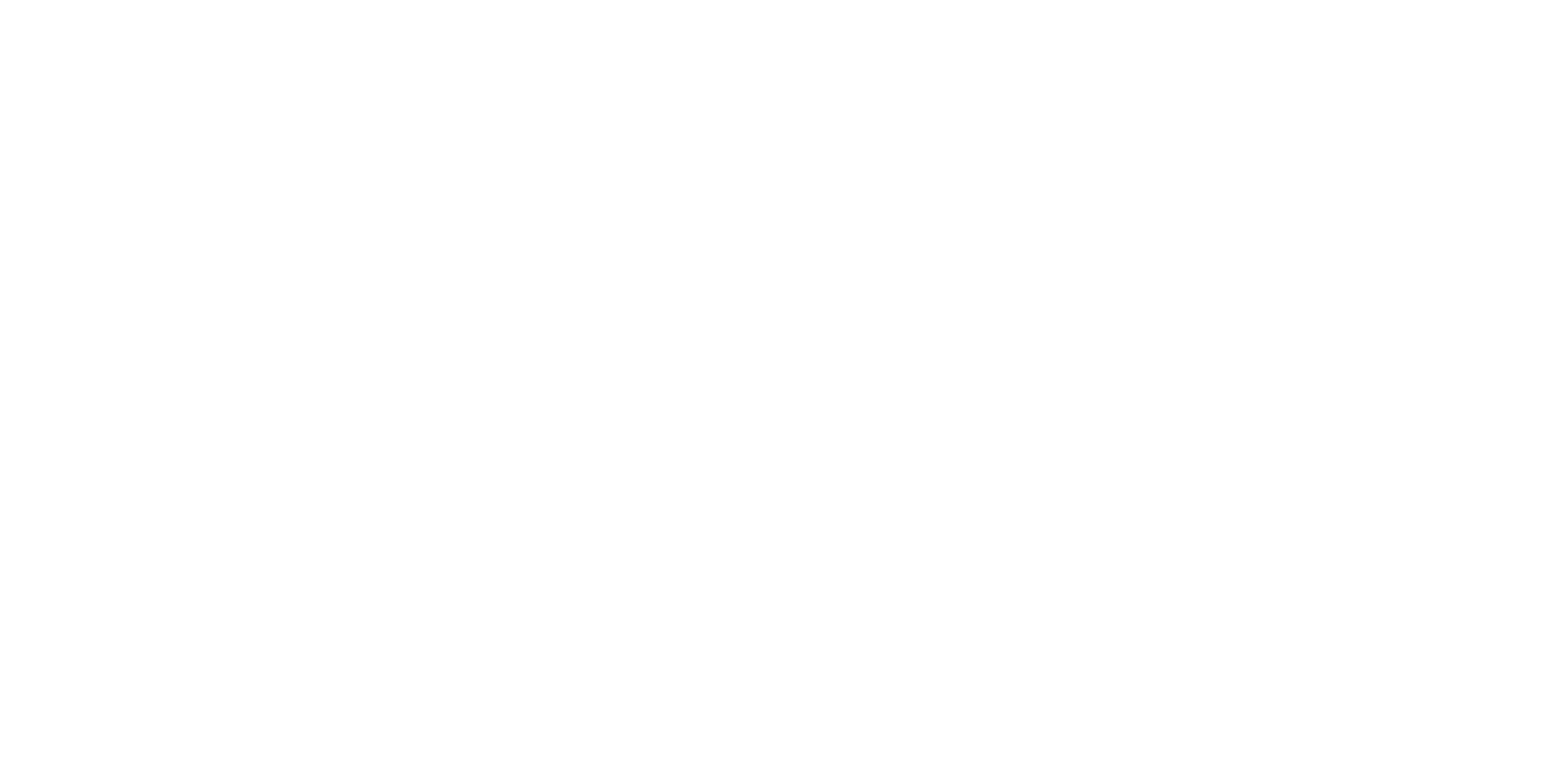 Javitour Experience